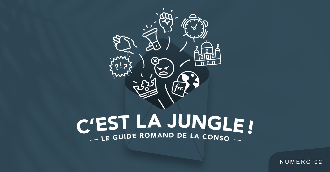Exemple d'en-tête pour les newsletter, réalisé par TMKL