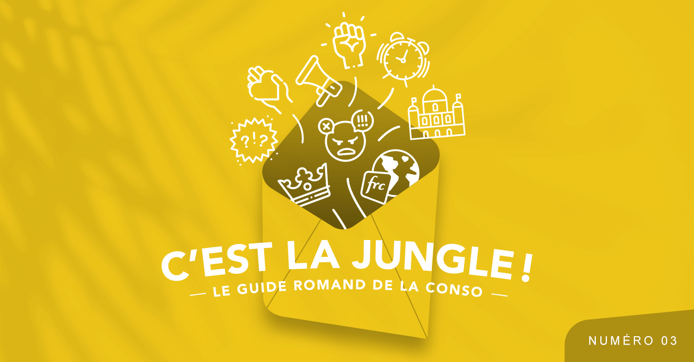 Exemple d'en-tête pour les newsletter, réalisé par TMKL