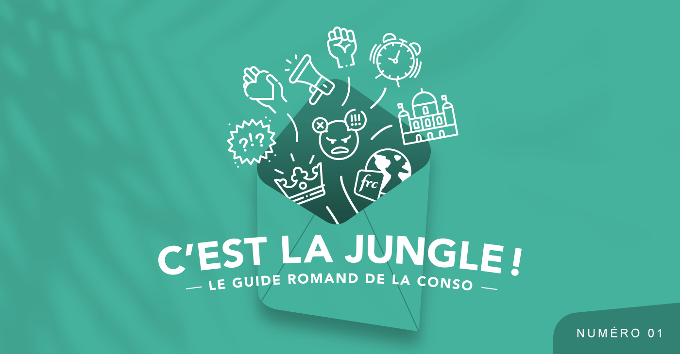 Exemple d'en-tête pour les newsletter, réalisé par TMKL